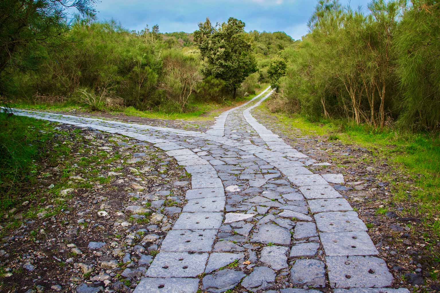 A grey stone paver path splits off into two directions.